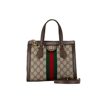 Gucci Bag | GG Ophidia Brown Beige