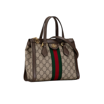 Gucci Bag | GG Ophidia Brown Beige