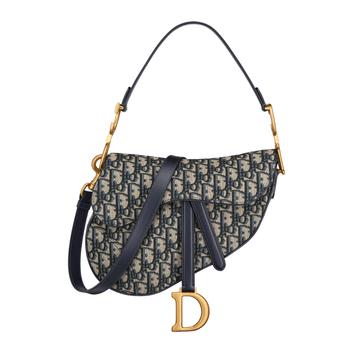 Dior Bag | Saddle