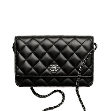 Chanel Bag | Classic Wallet On Chain (woc)