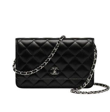 Chanel Bag | Classic Wallet On Chain (woc)