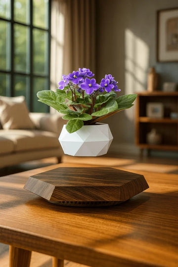 Levitating Floating Flower Pot – Magnetic Wood Base Planter